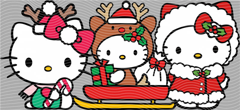 16oz Sanrio-K 303